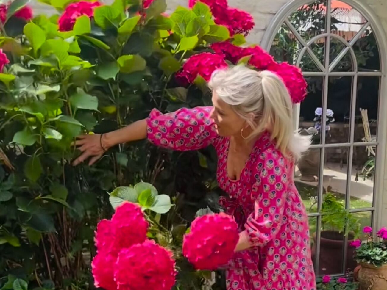 Осенью гортензия нуждается в подкормке