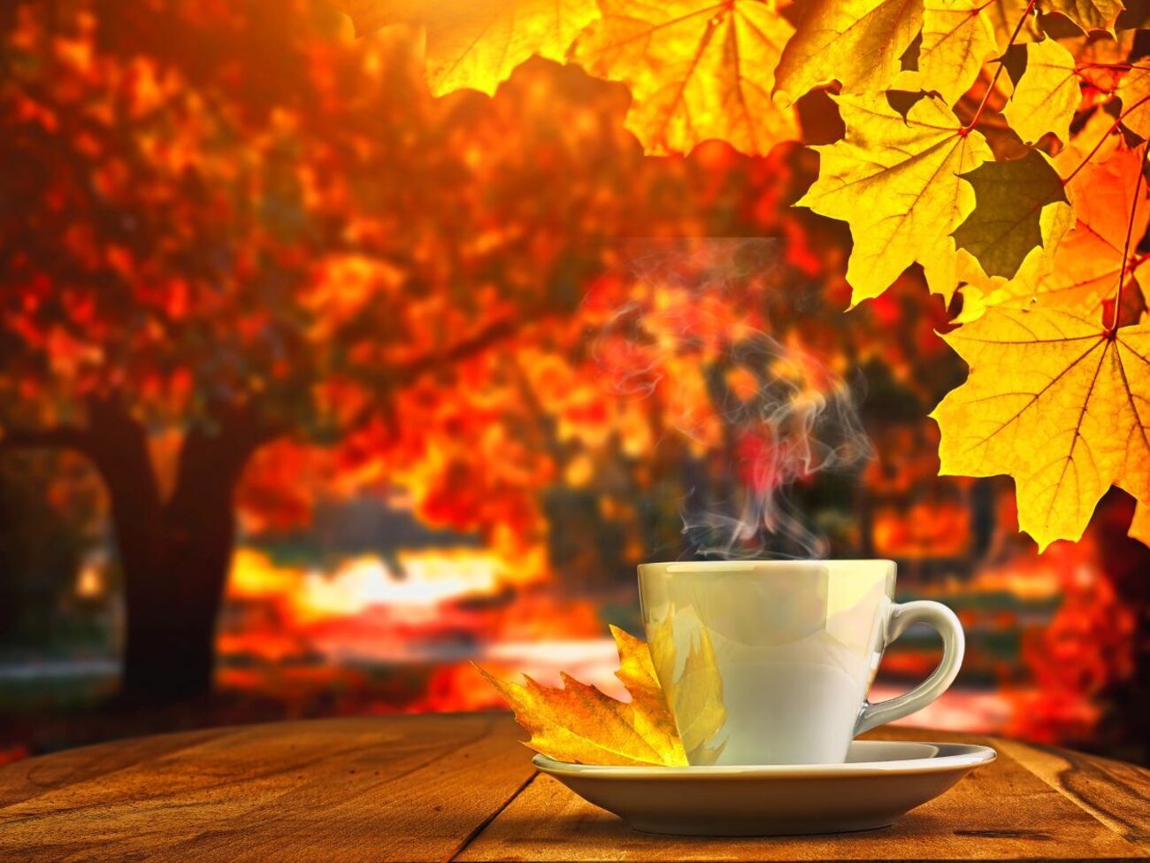 Диденко отметила, что сейчас в Украине царит солнечное, сухое и умеренно теплое "бабье лето"