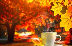 Диденко отметила, что сейчас в Украине царит солнечное, сухое и умеренно теплое "бабье лето"