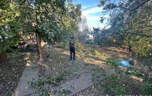 Российские снаряды попали во двор частного домовладения в Марганце, сообщили в полиции