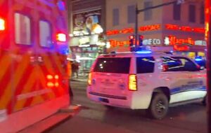 После того как водитель наехал на людей, он вышел из автомобиля и начал стрелять. Его мотивы пока неизвестны