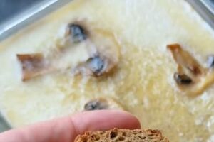 Паштет из грибов получается очень вкусным