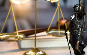 10 января должно было состояться финальное заседание по делу, и судья должен был объявить окончательный приговор