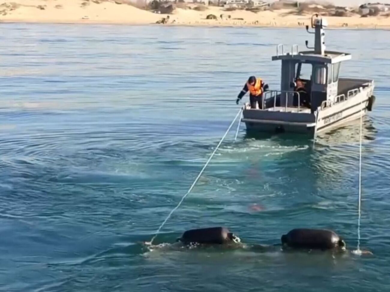 Очаги загрязнения нефтепродуктами зафиксированы в пяти муниципальных образованиях