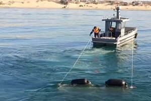 Очаги загрязнения нефтепродуктами зафиксированы в пяти муниципальных образованиях