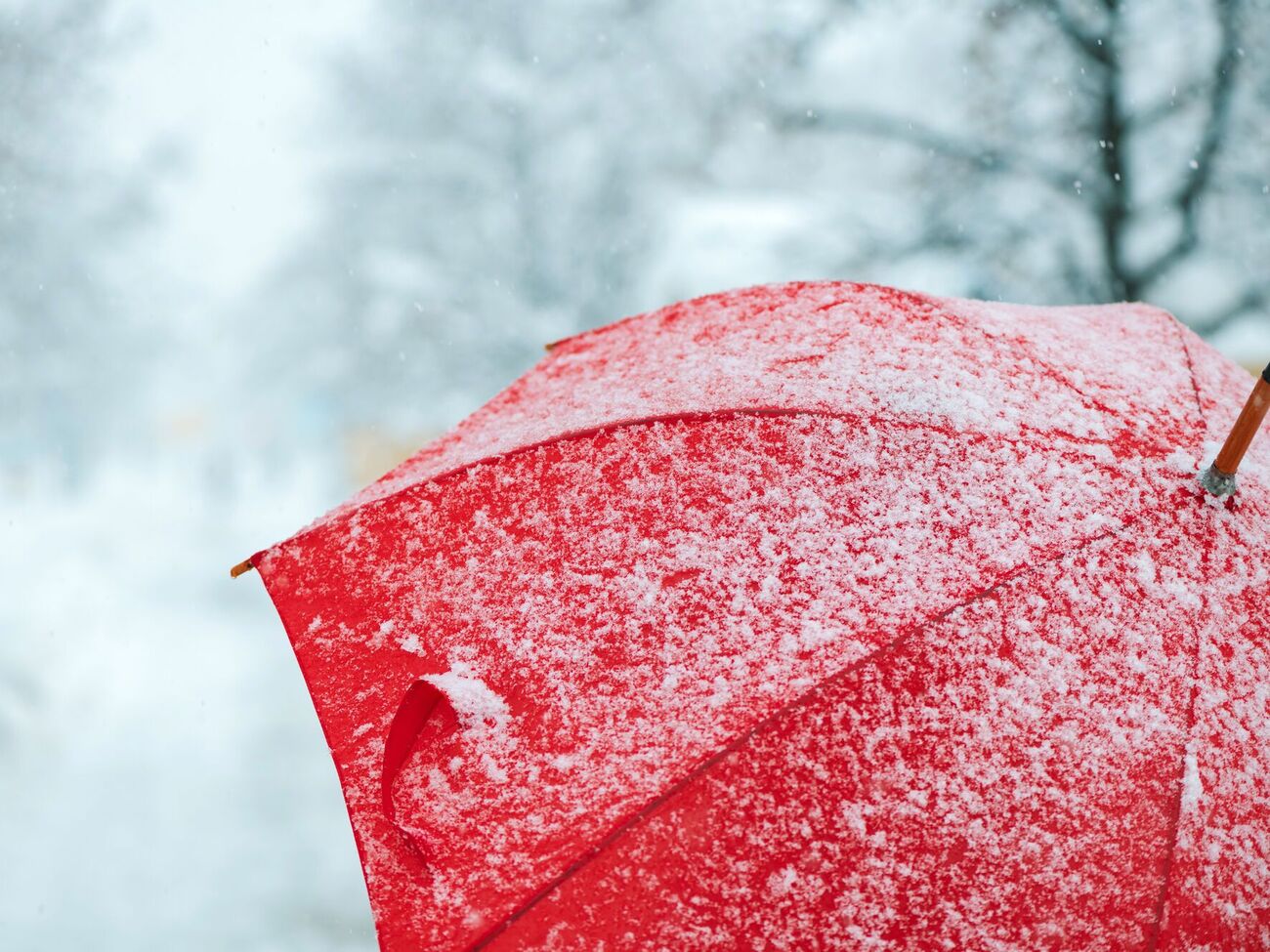 Сніг прогнозують у західних, північних і більшості центральних областей