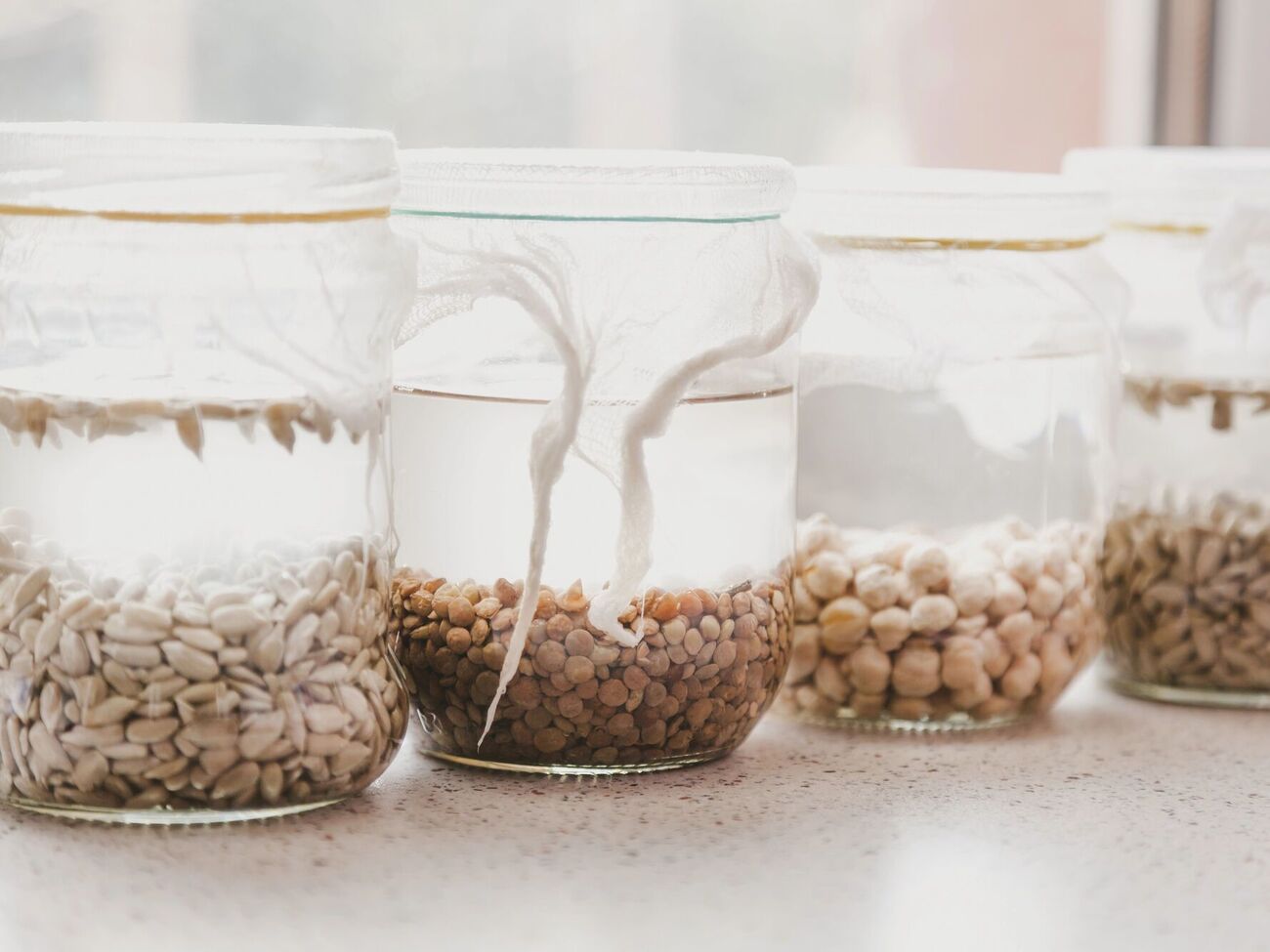 Залийте насіння розчином і залиште на 12 годин