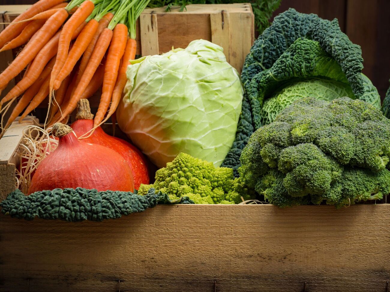 Багато овочів можна вирощувати в частковому затінку