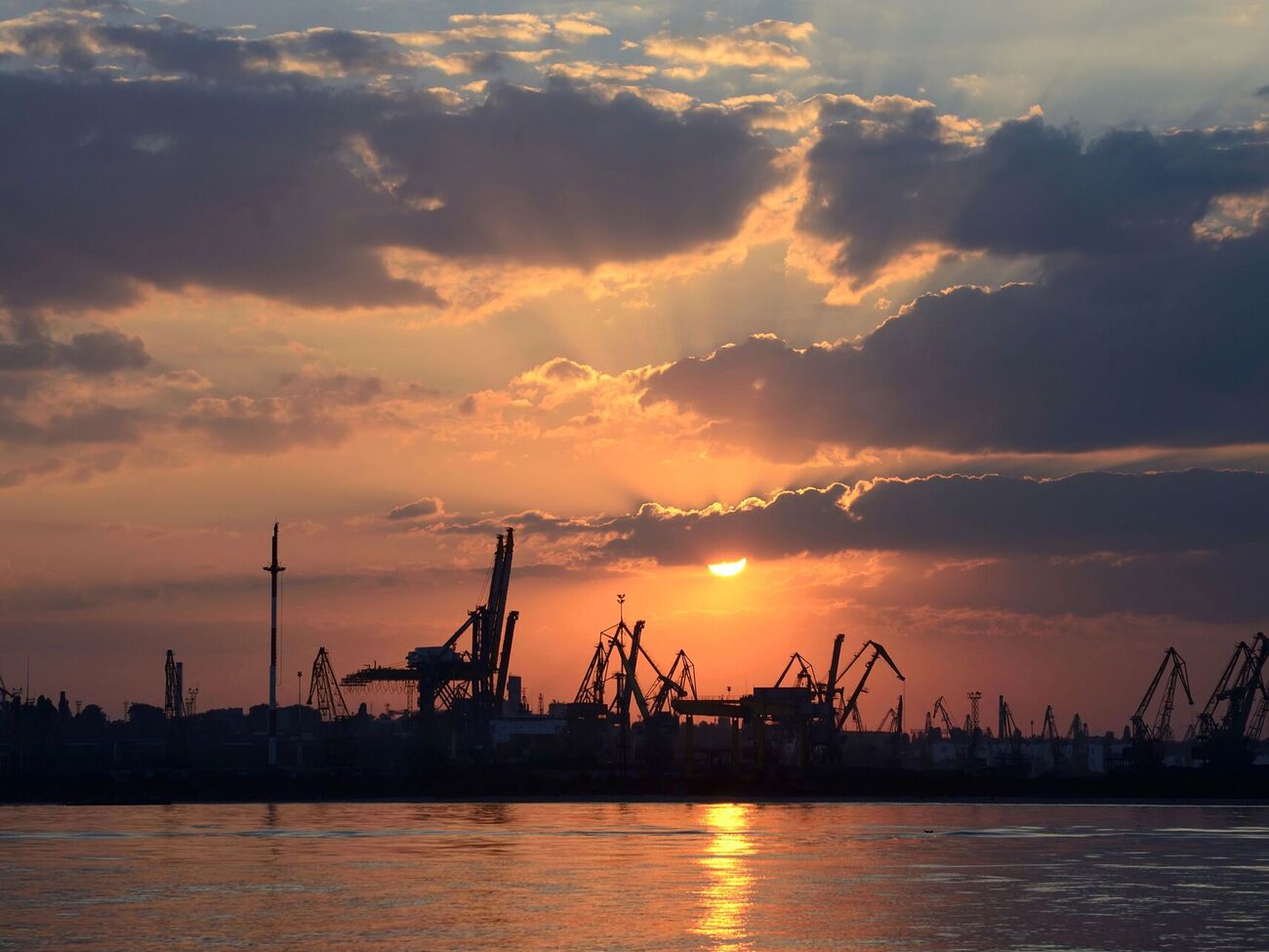 The disruption at the Odesa port has left numerous enterprises facing severe financial losses