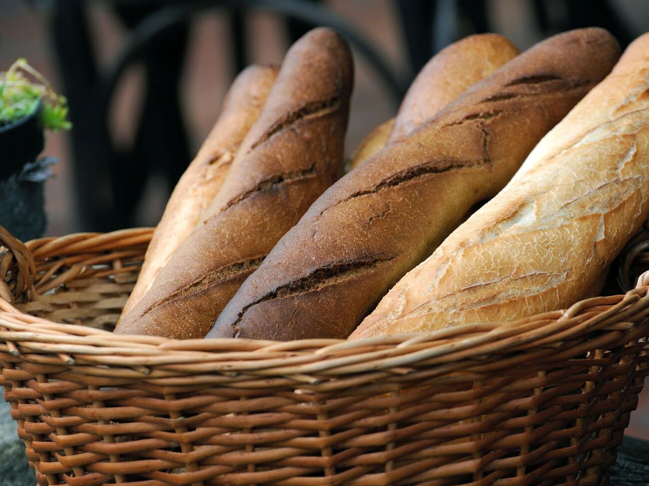 Гречневый багет замешивается на воде и растительном масле