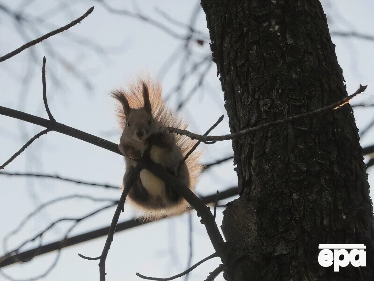 В Киеве в субботу и воскресенье будет ветрено, сообщила синоптик