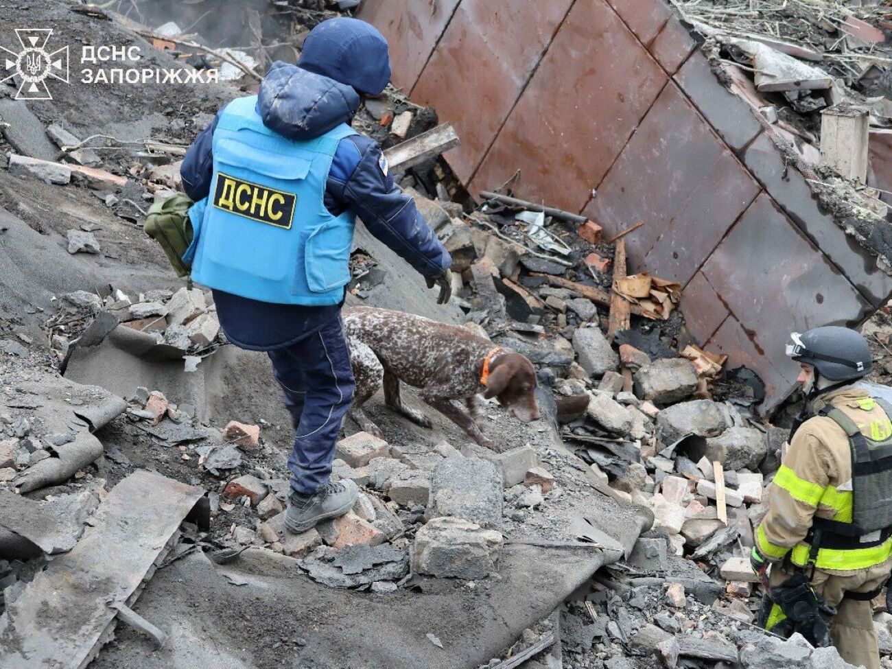 К поисковым работам спасатели привлекли кинологов