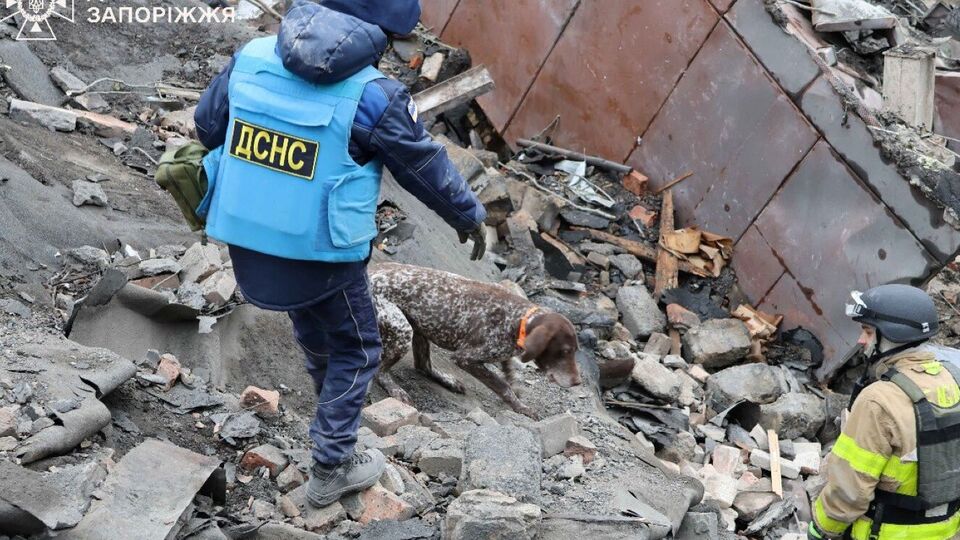 До пошукових робіт рятувальники залучили кінологів