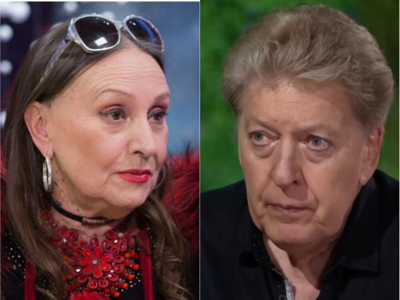 Заднепровский о Кадочниковой: Человек, который всю жизнь прожил в Украине, не сумел выучить язык