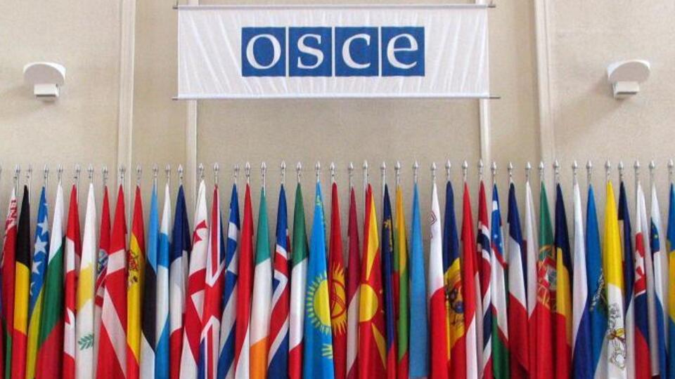 Среди основных направлений работы ОБСЕ на 2025 год – поддержка территориальной целостности Украины