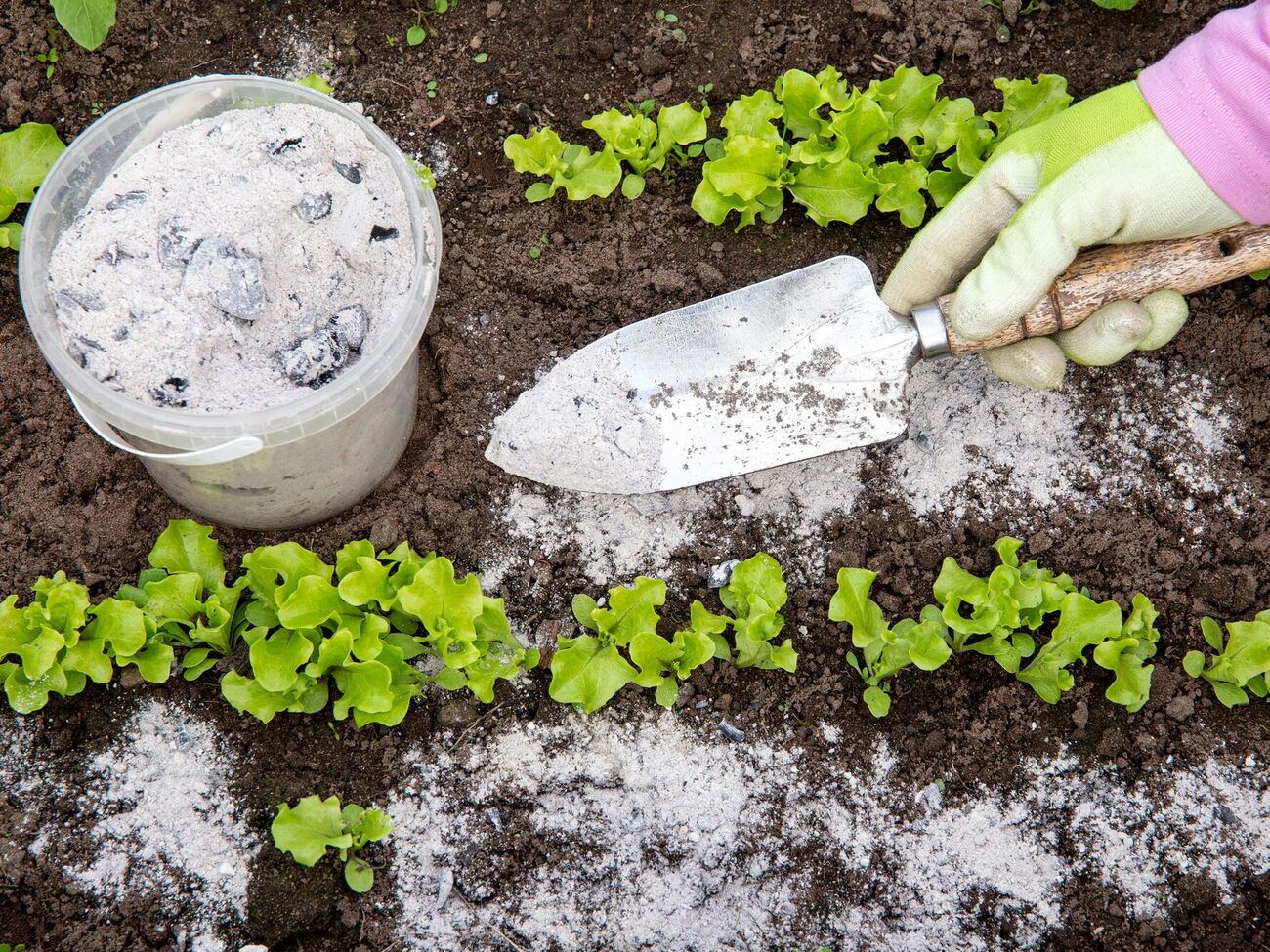 Древесная зола может навредить