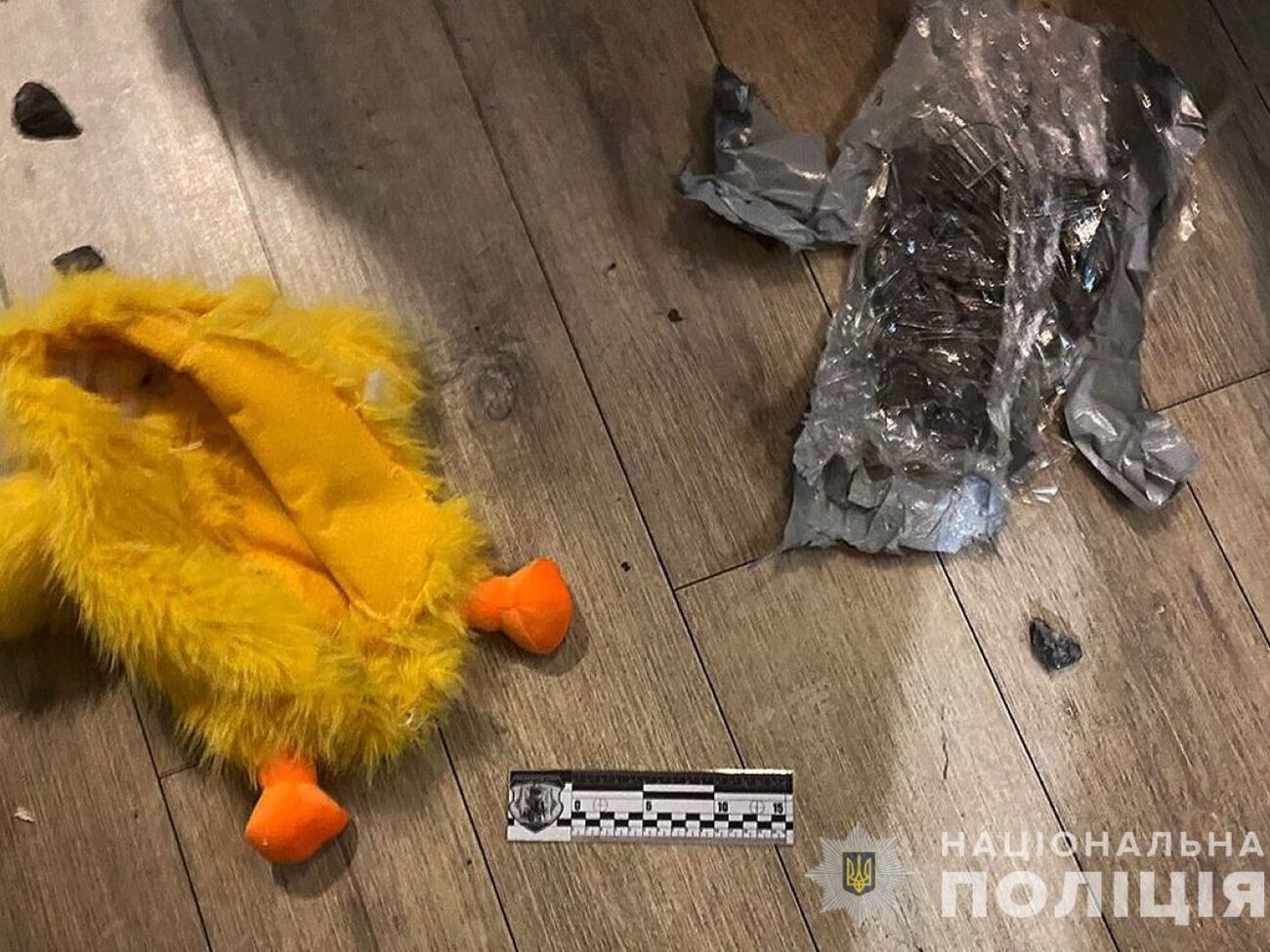 В закладывании взрывчаток подозревают двух 19-летних жителей Днепропетровской области