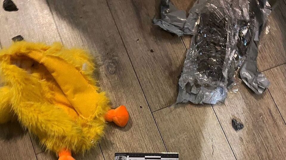 В закладывании взрывчаток подозревают двух 19-летних жителей Днепропетровской области