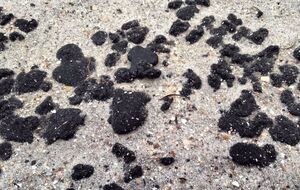 Нафтопродукти винесло на піщаний пересип після шторму