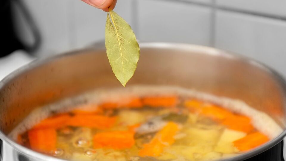 Лавровий лист добре поєднуватиметься з яловичим бульйоном