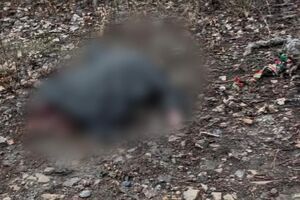 Погибшие готовились к эвакуации, рассказали в прокуратуре