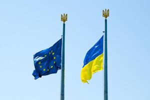 Скрининг фактически является первым этапом переговоров по вступлению Украины в ЕС, пишет "Европейская правда"