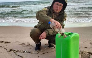 Миллионы мелких фракций еще дрейфуют в водах северо-западной части Черного моря, заявил Русев