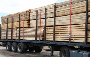 По данным Earthsight, в ЕС ежедневно въезжает 20 грузовиков с подсанкционной березовой фанерой