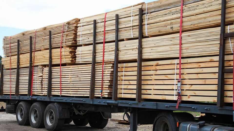 По данным Earthsight, в ЕС ежедневно въезжает 20 грузовиков с подсанкционной березовой фанерой