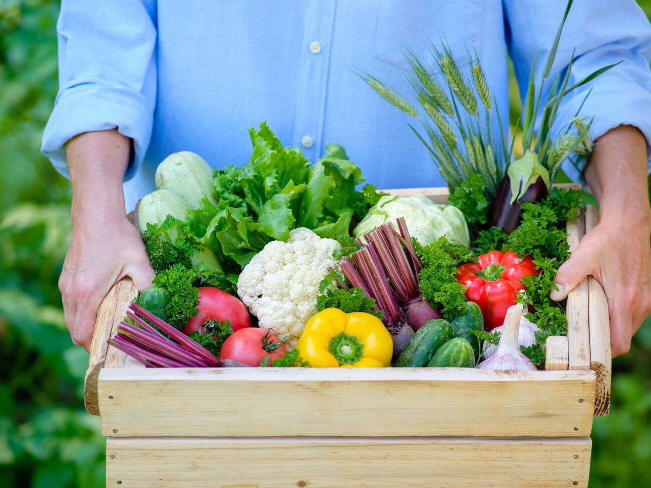 Во время посадки овощей нужно учитывать, будут ли они расти на месте картофеля