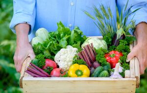 Во время посадки овощей нужно учитывать, будут ли они расти на месте картофеля