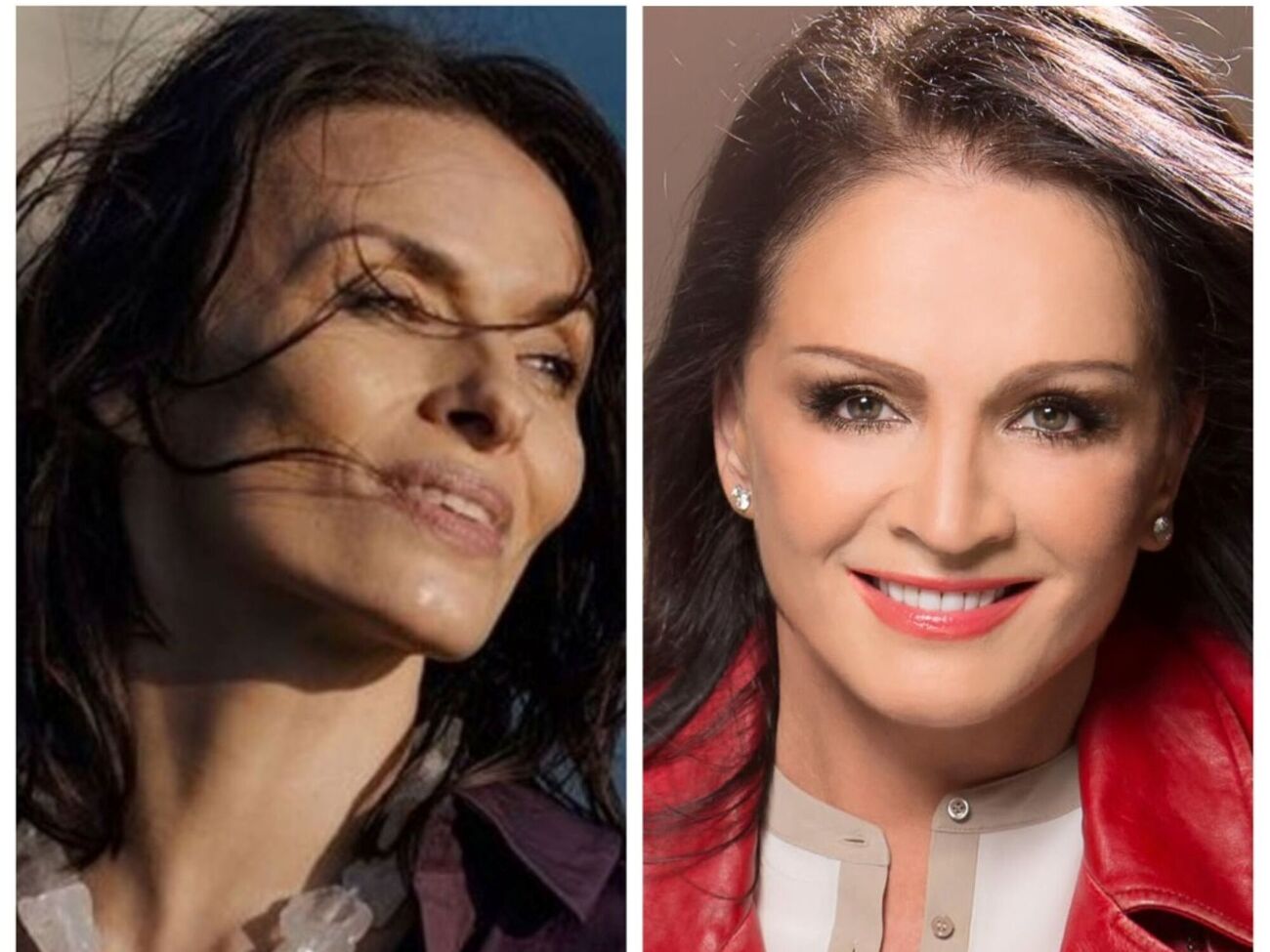 Ротару и Мейхер больше не выходят на сцену