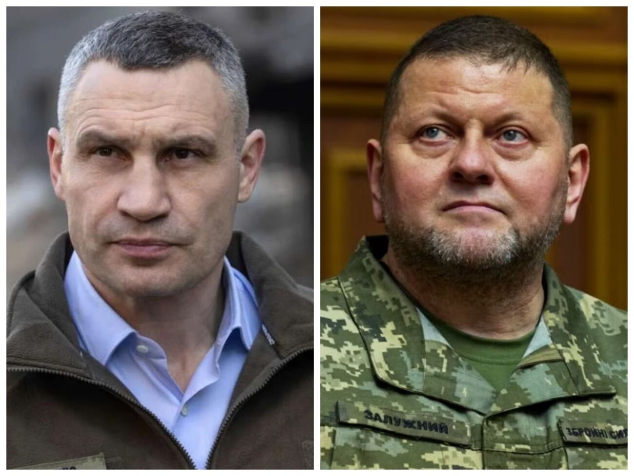 Борислав Береза звернув увагу на "нападки на генералів і комбригів, на Залужного і Кличка й інших"