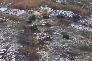 Украинские военные отбили атаку оккупантов на квадроциклах, рассказали в "Азове"