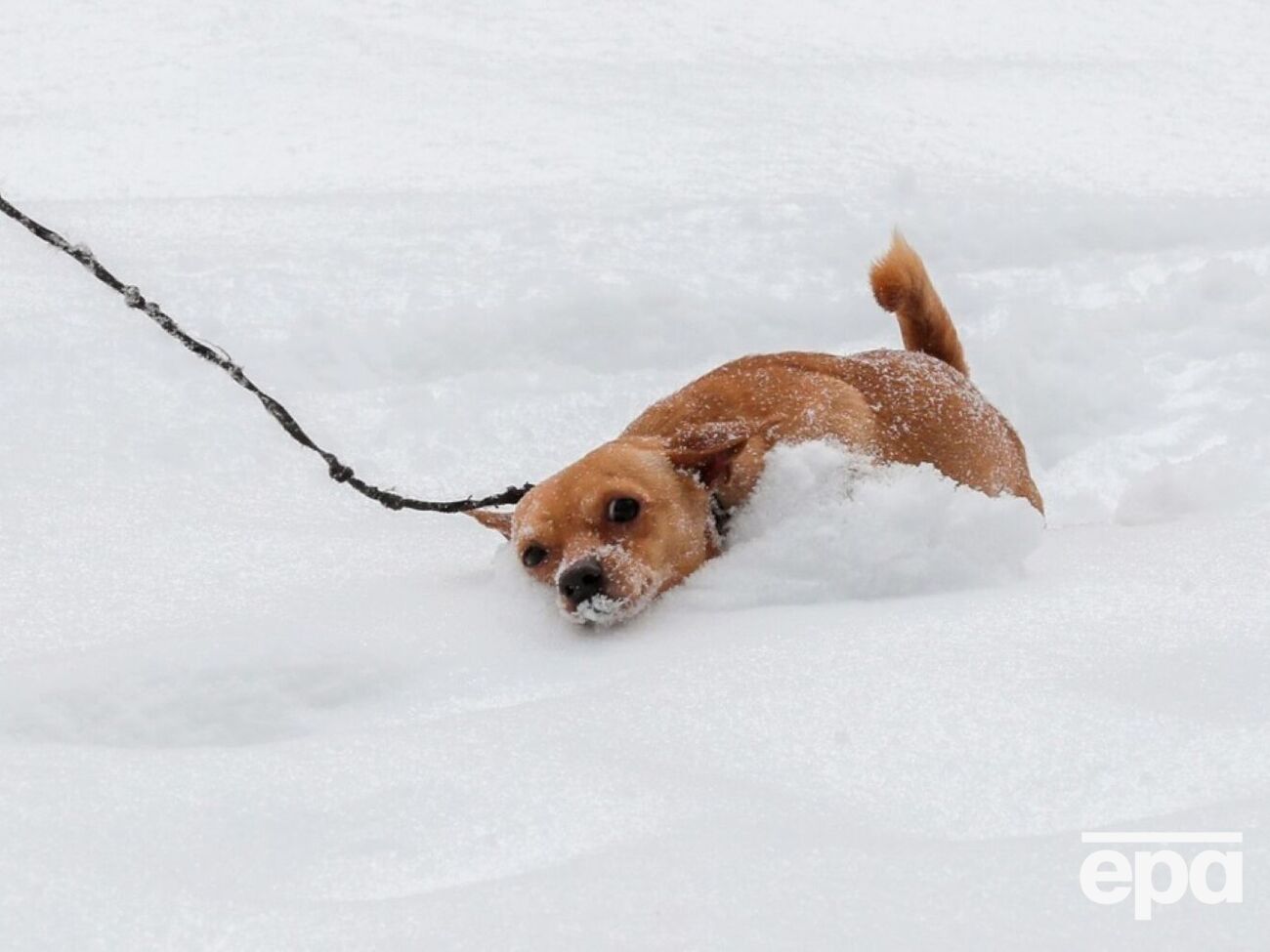 Сніг прогнозують у Карпатах і на Закарпатті