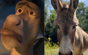 Причиною смерті Перрі був ламініт