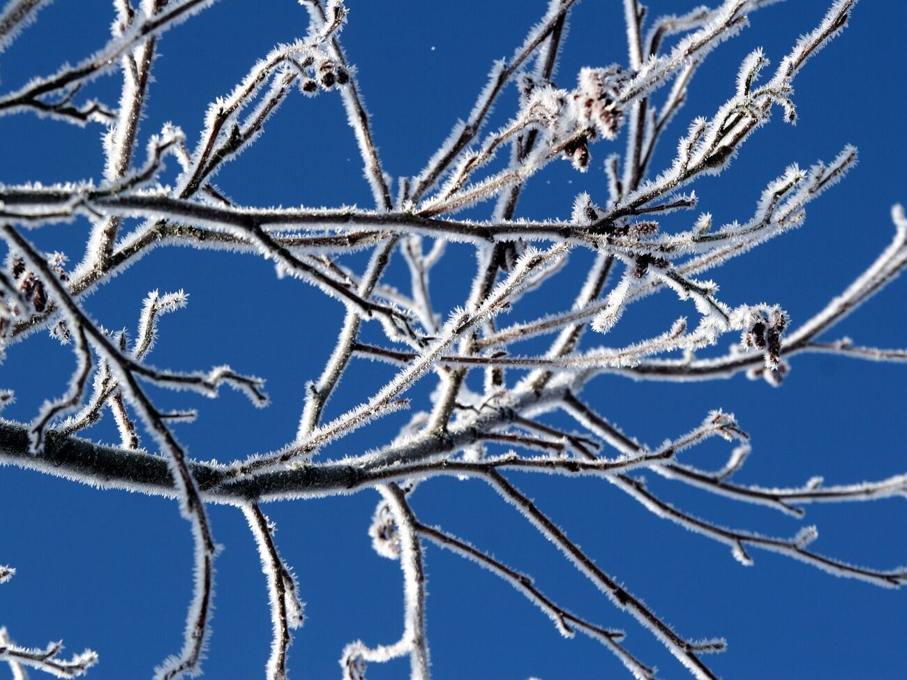 Лід розтане у природний спосіб
