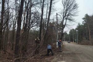 ДТЭК вернул свет 281 тыс. семей после обстрелов