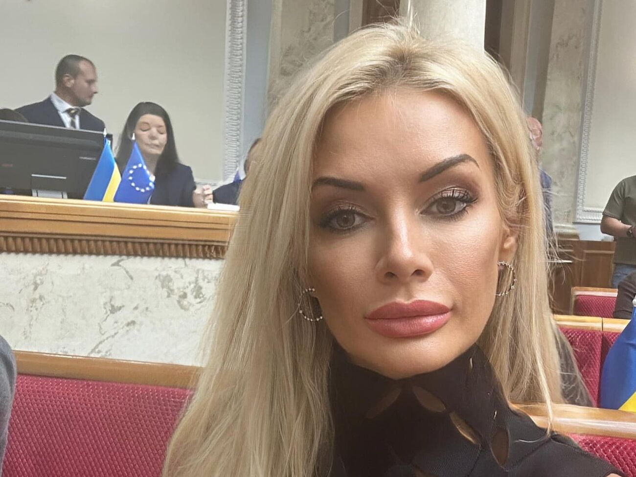 Нардеп подозревается в декларировании недостоверной информации