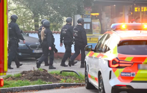 Сапери знешкоджують на місці вибухові пристрої