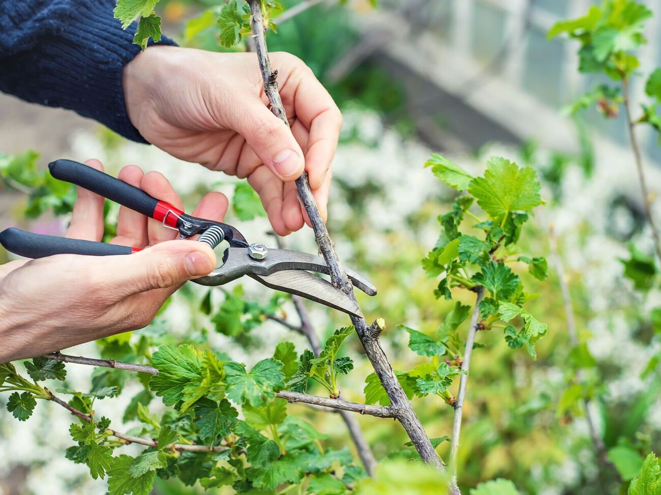 Инструмент должен быть чистым и острым