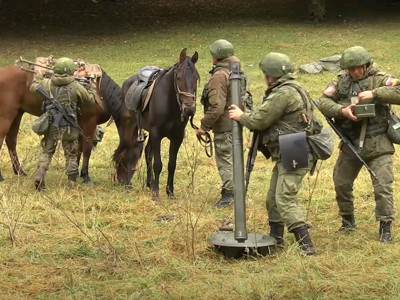 Використання віслюків і коней російським військом – це "нормально", вважають у Держдумі