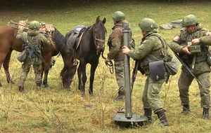Використання віслюків і коней російським військом – це "нормально", вважають у Держдумі