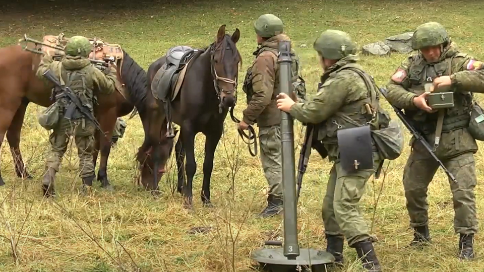 Использование ослов и лошадей российским войском – это "нормально", считают в Госдуме