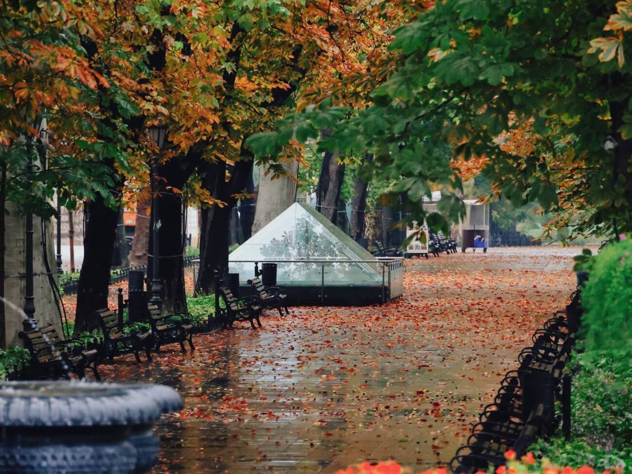 Прогноз погоды на выходные в Украине, 11-го и 12 октября 2025 года