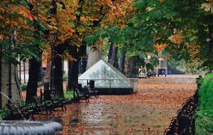 Прогноз погоды на выходные в Украине, 11-го и 12 октября 2025 года