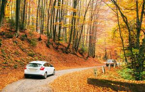 По словам синоптика, низкая температура задержится как минимум на всю следующую неделю