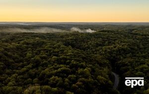 Причина взрыва в Теннесси пока неизвестна, следователи обследуют уничтоженную территорию в поисках доказательств, отмечает СМИ