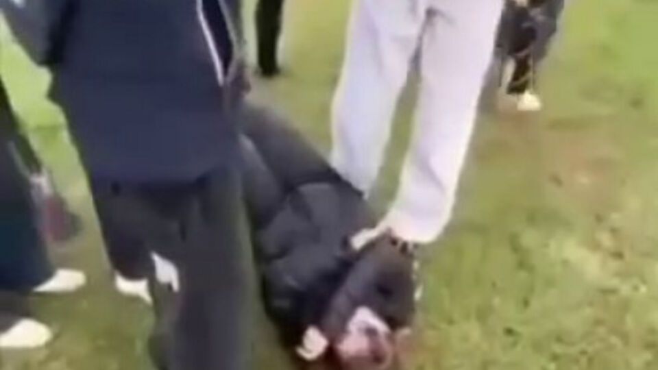 Видео с избиением малолетней начали распространять в Тelegram