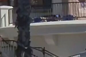 Полицейские привлекли мужчину к ответственности, говорится в сообщении